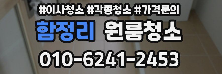 함정리 이사청소