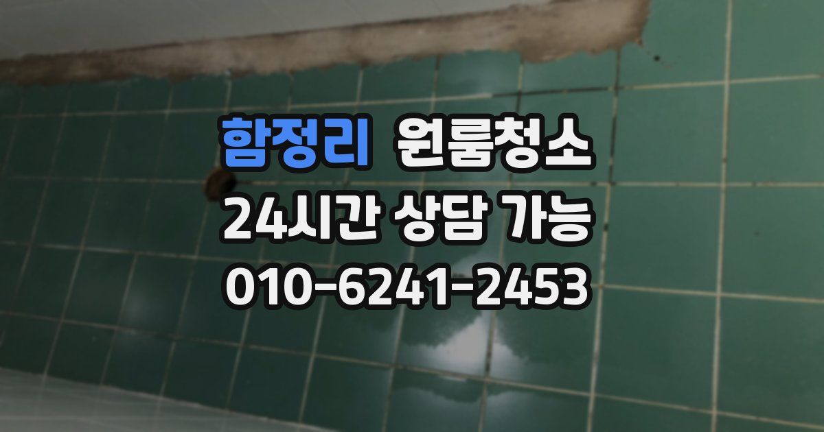 함정리 입주청소