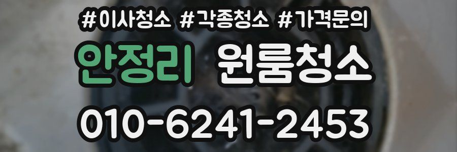 안정리 이사청소