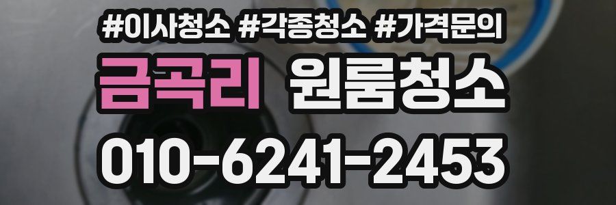 금곡리 이사청소