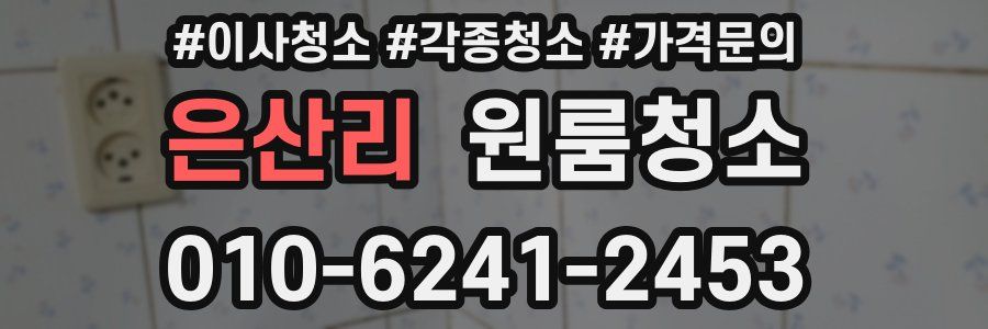 은산리 이사청소