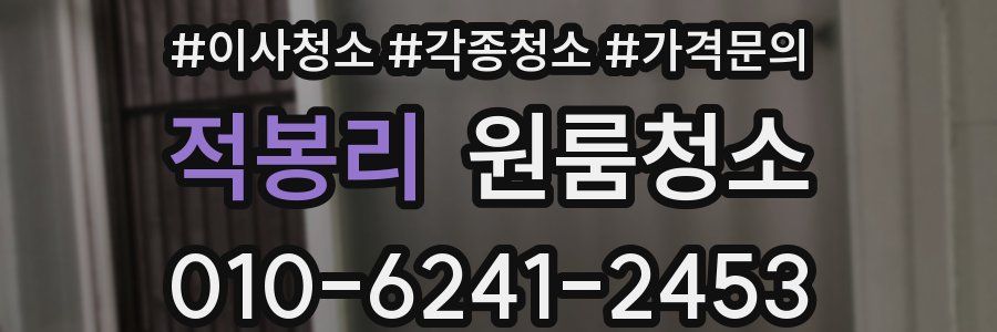 적봉리 이사청소