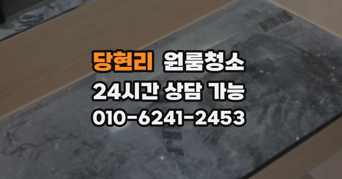 당현리 입주청소