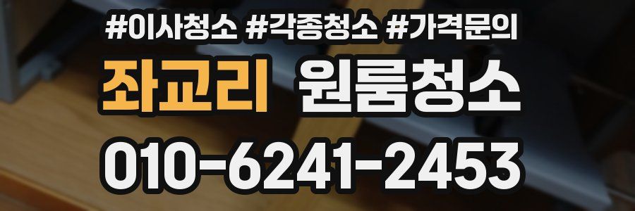 좌교리 이사청소