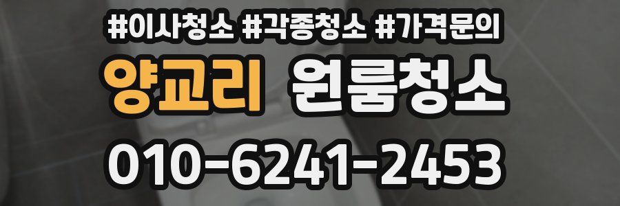 양교리 이사청소