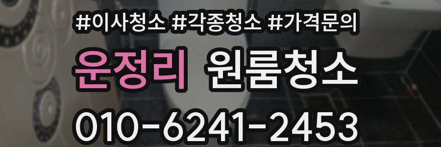 운정리 이사청소