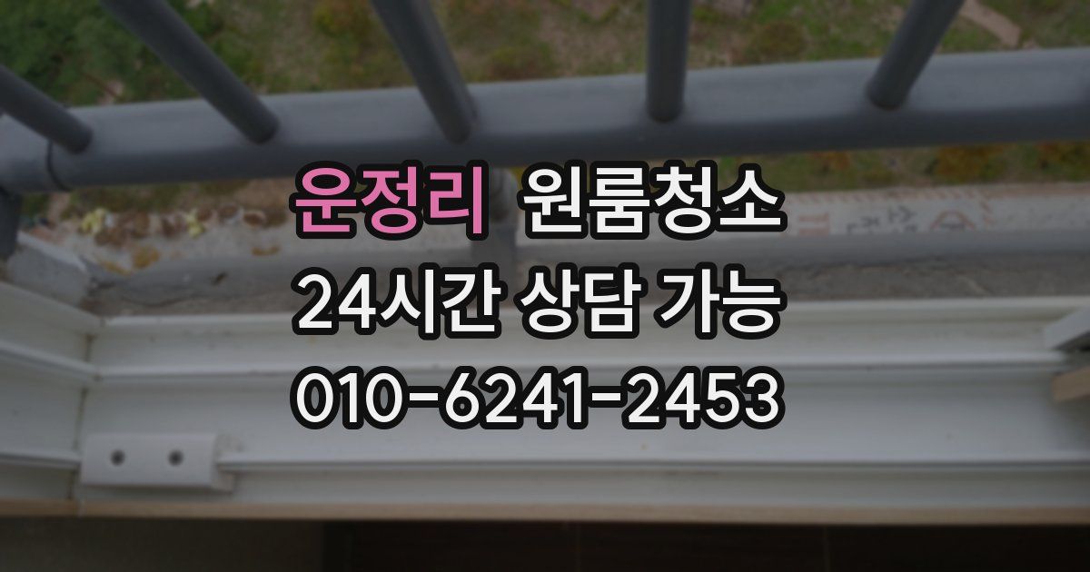 운정리 입주청소