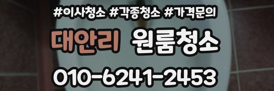 대안리 이사청소