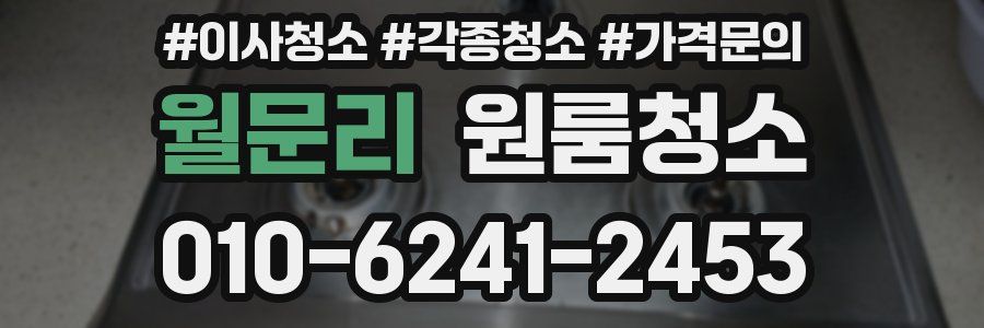 월문리 이사청소