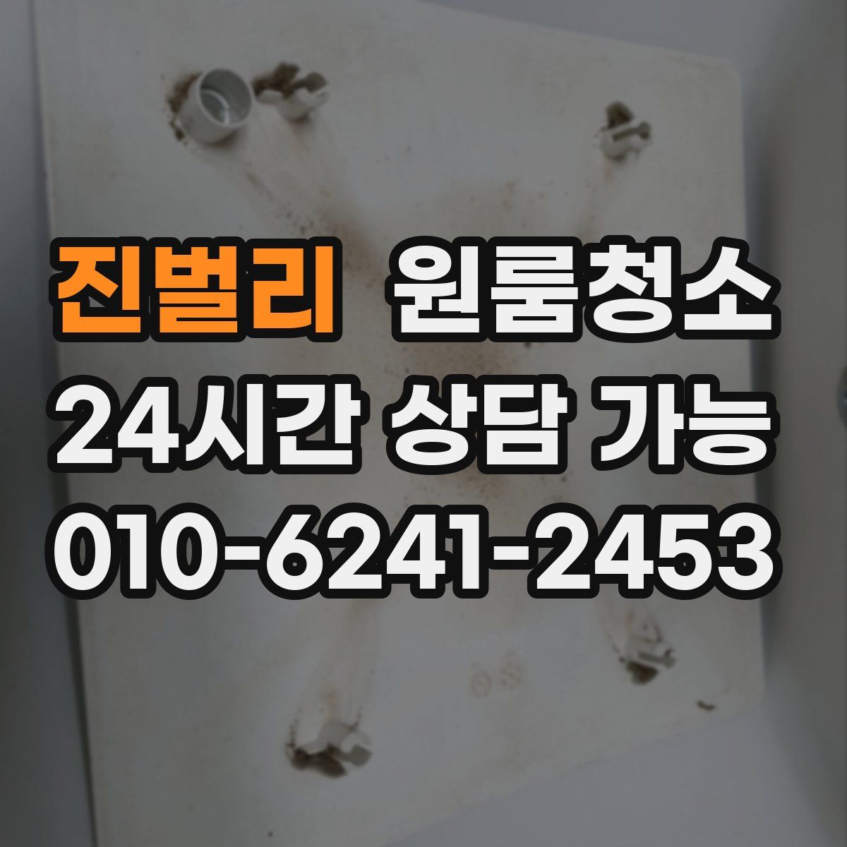 진벌리 원룸청소