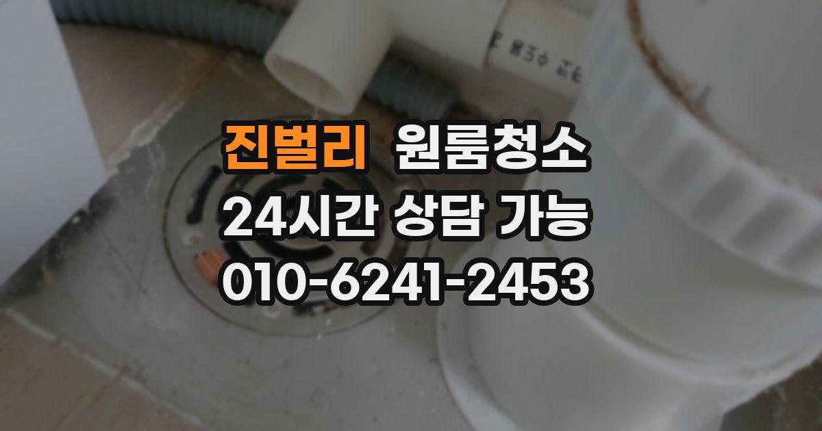 진벌리 입주청소