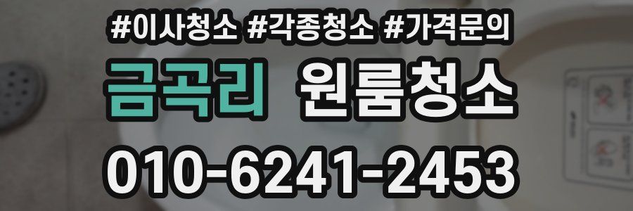 금곡리 이사청소