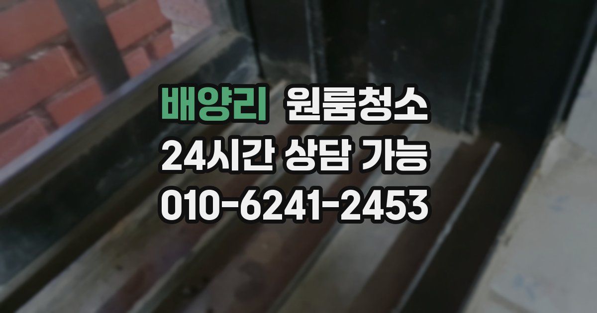 배양리 입주청소