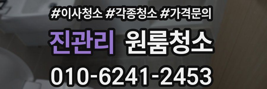 진관리 이사청소
