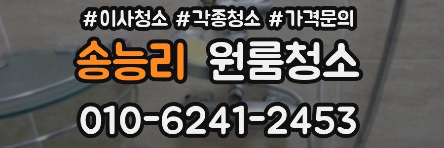 송능리 이사청소