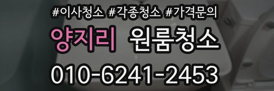 양지리 이사청소