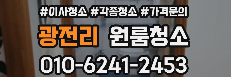 광전리 이사청소