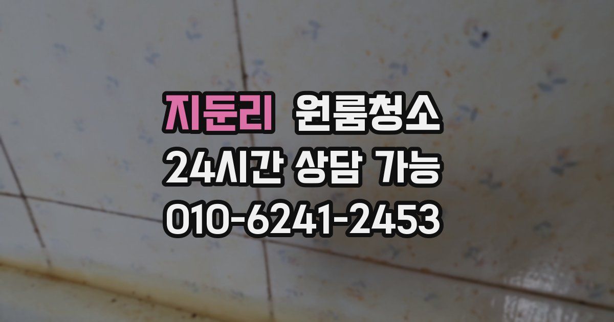 지둔리 입주청소