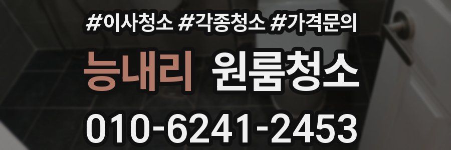 능내리 이사청소