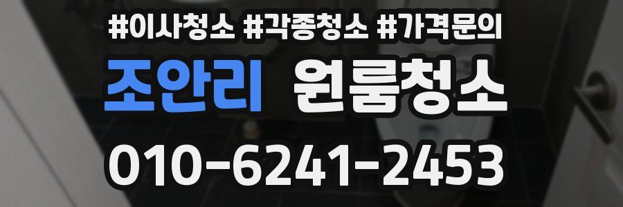 조안리 이사청소