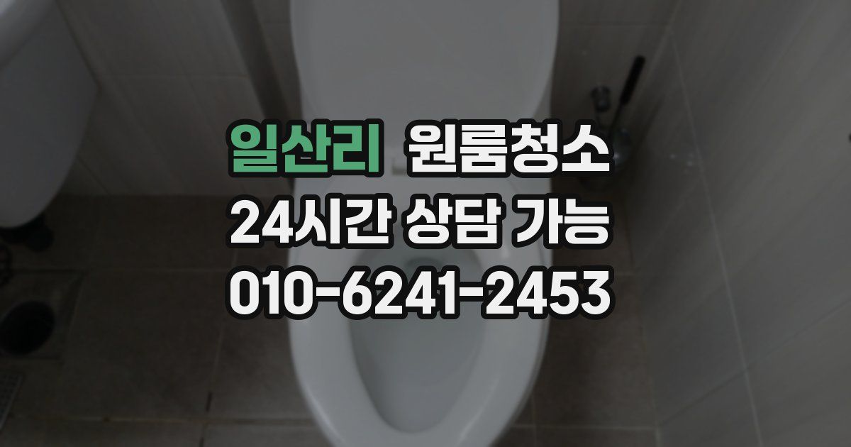 일산리 입주청소