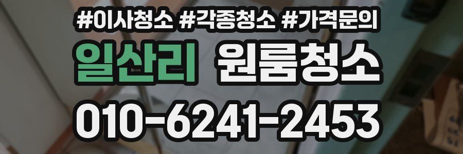 일산리 이사청소