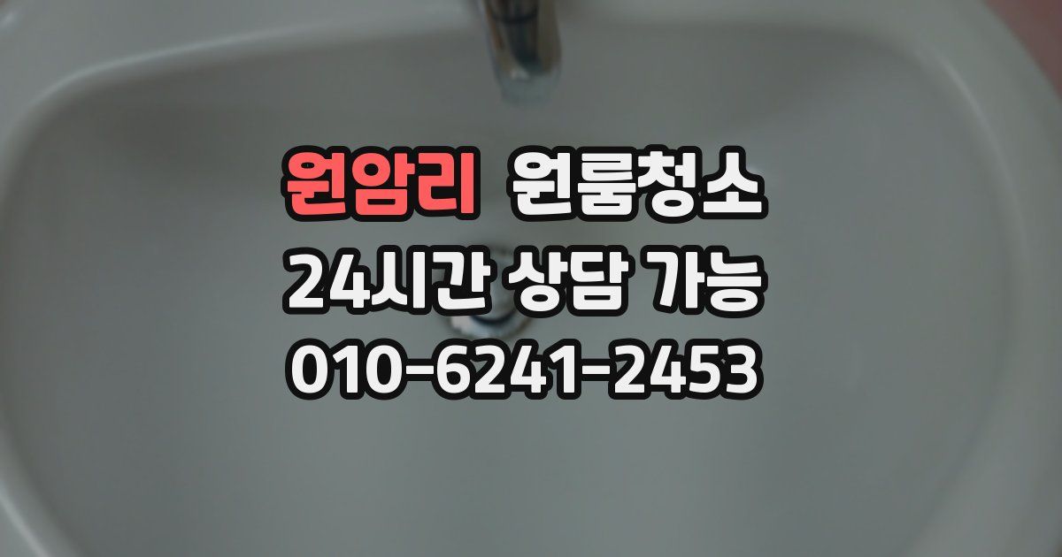 원암리 입주청소