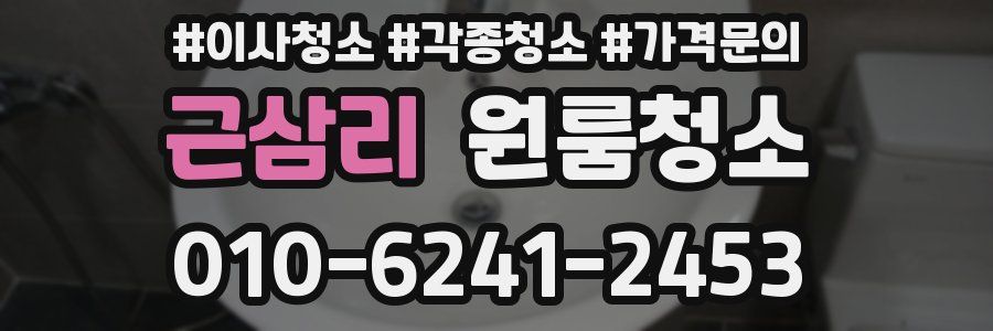 근삼리 이사청소