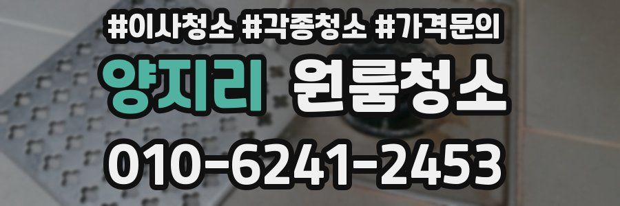 양지리 이사청소