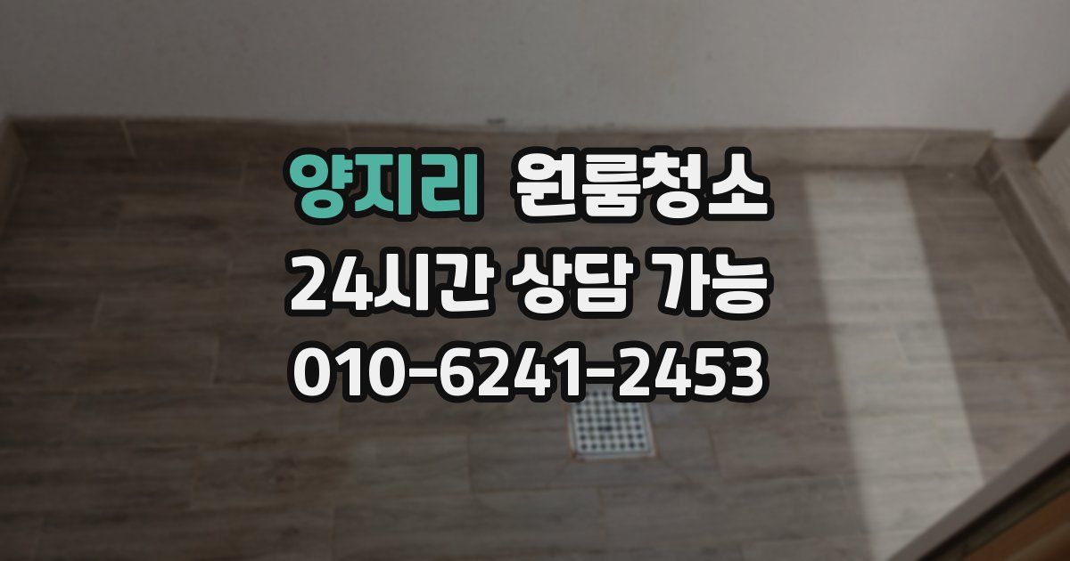 양지리 입주청소
