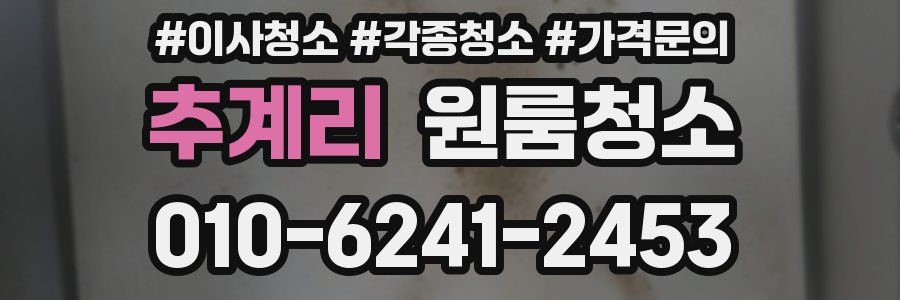 추계리 이사청소