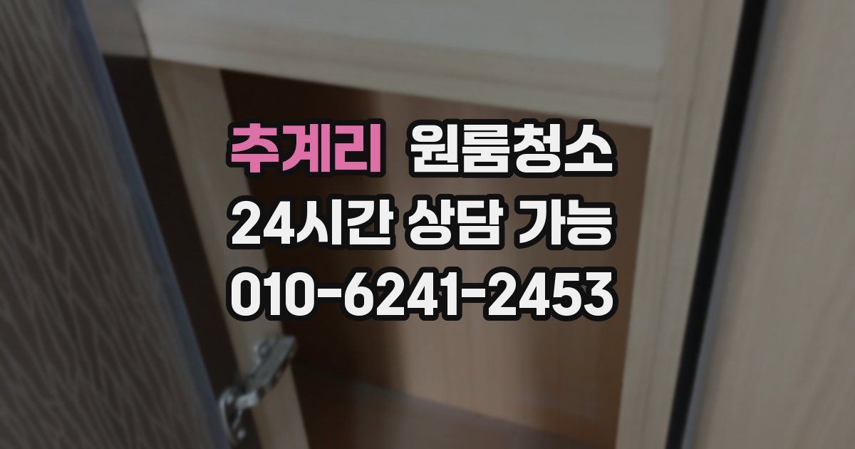 추계리 입주청소