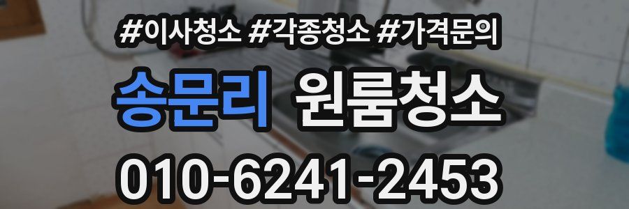 송문리 이사청소