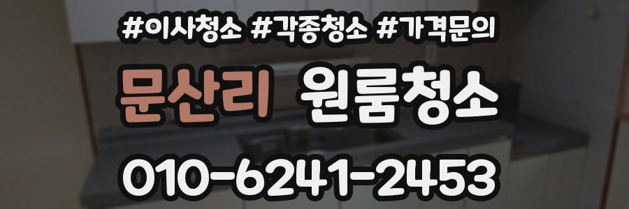 문산리 이사청소