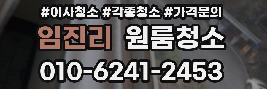 임진리 이사청소