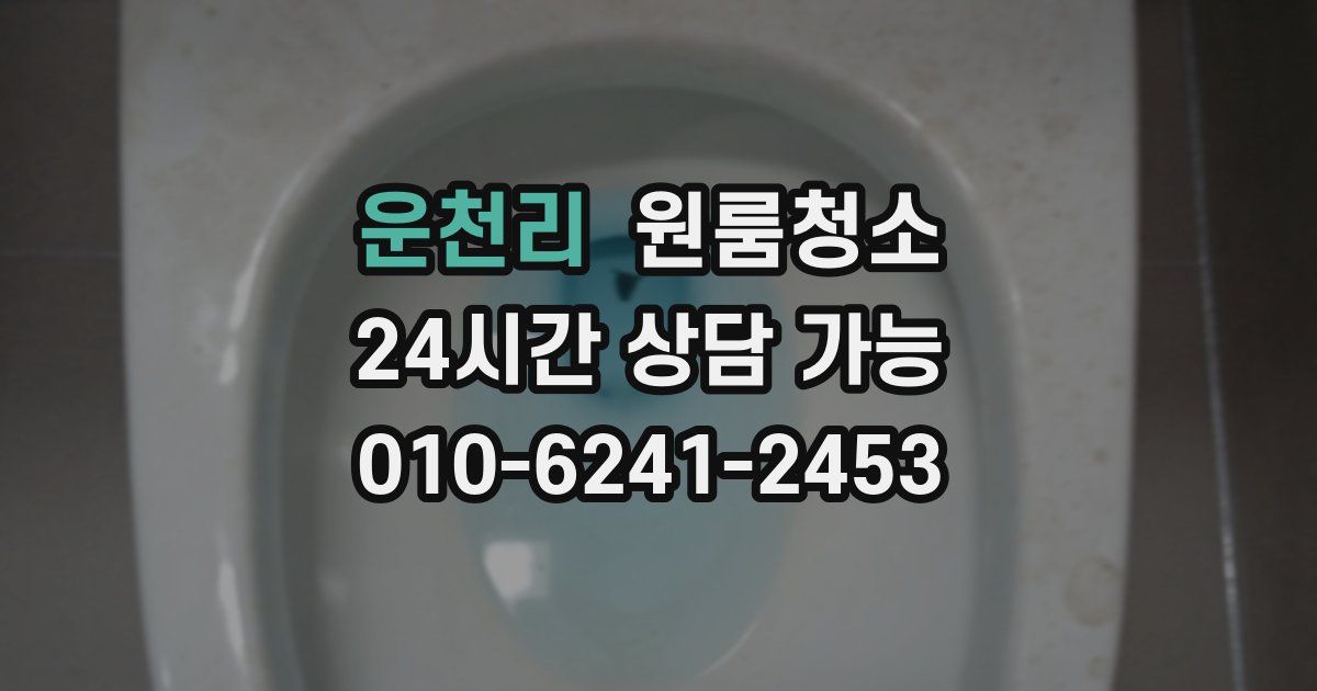 운천리 입주청소