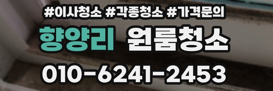 향양리 이사청소