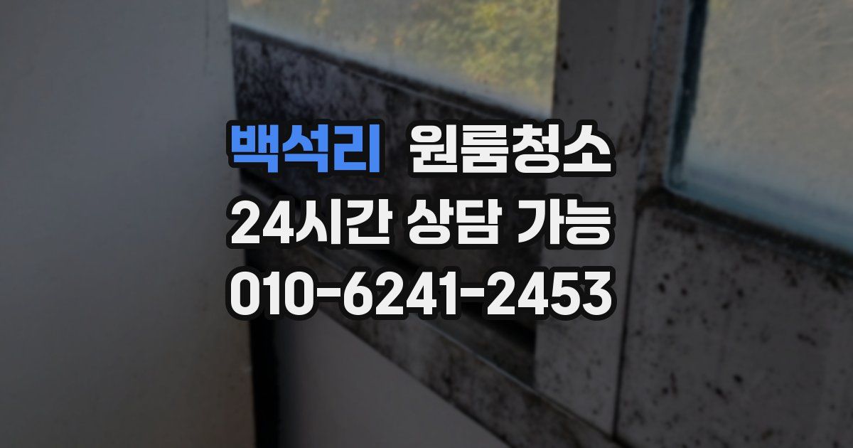 백석리 입주청소