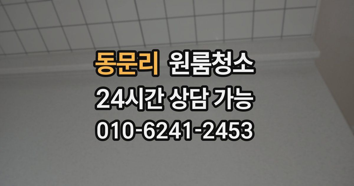 동문리 입주청소