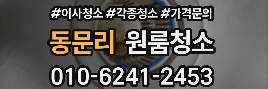 동문리 이사청소