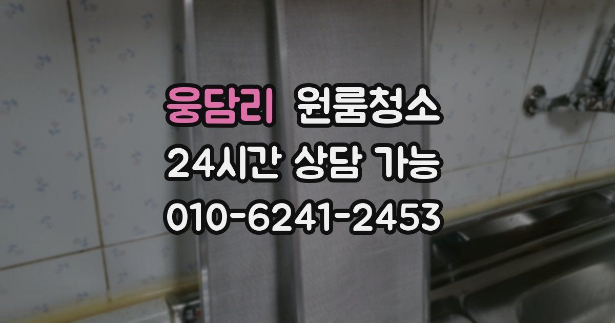 웅담리 입주청소