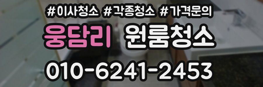 웅담리 이사청소