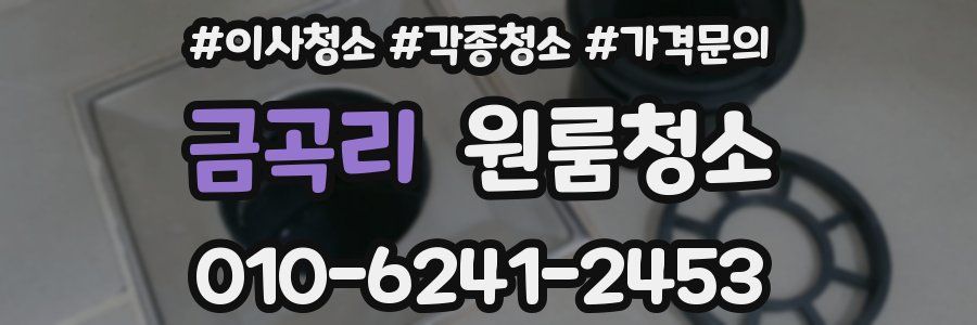 금곡리 이사청소