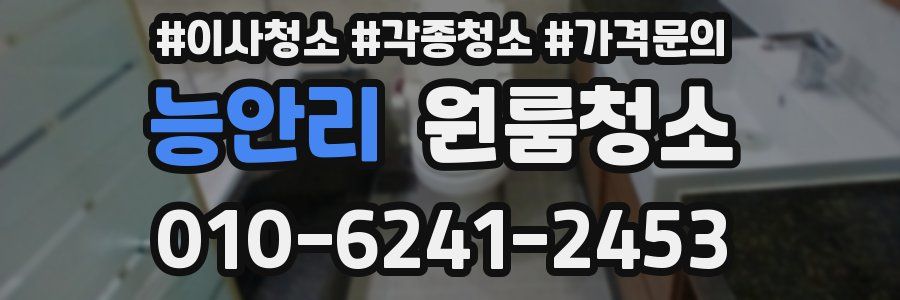 능안리 이사청소