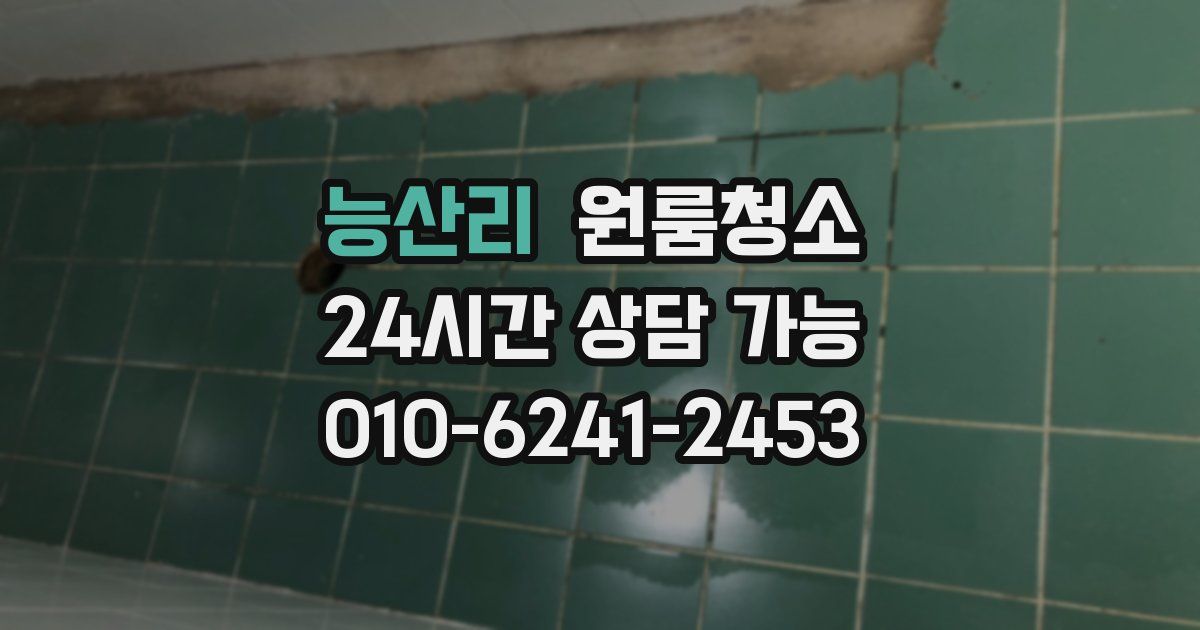 능산리 입주청소