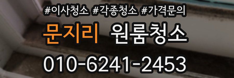 문지리 이사청소