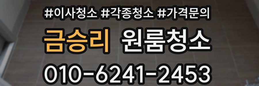 금승리 이사청소