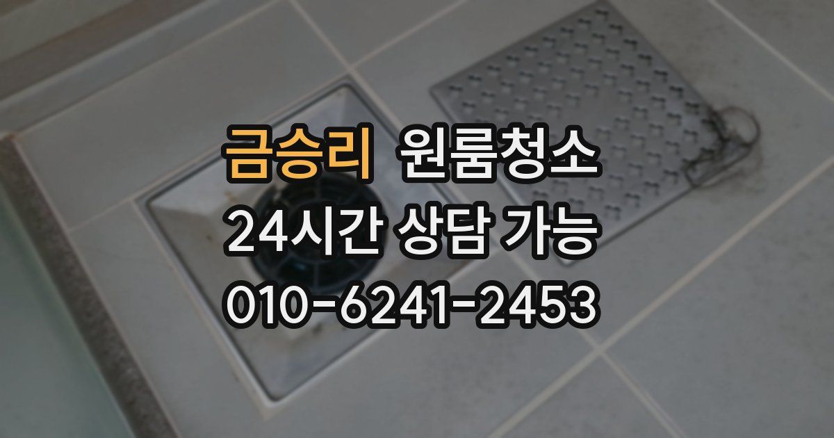 금승리 입주청소