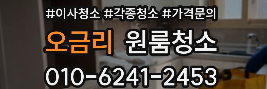 오금리 이사청소