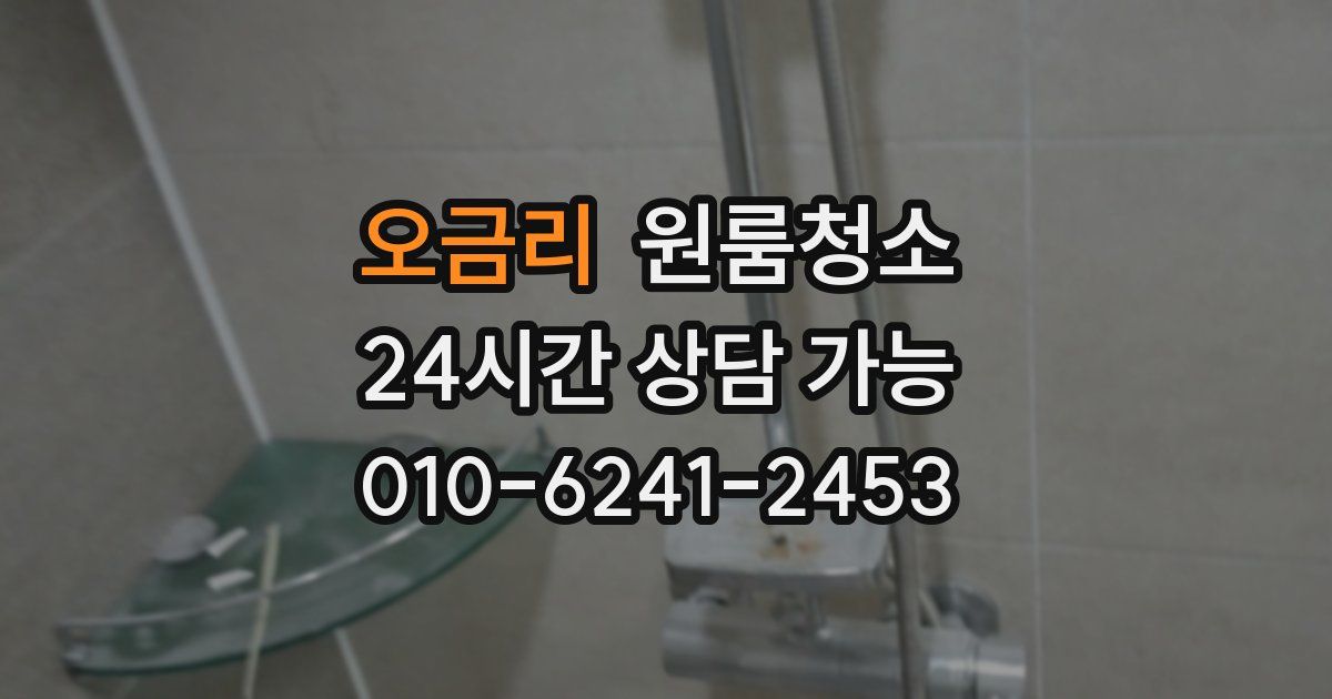 오금리 입주청소